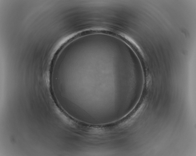 X0000113220935200909101147