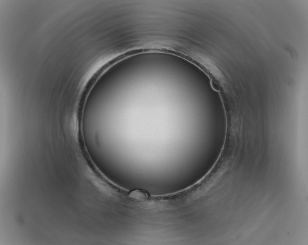 X0000113220936200909101147