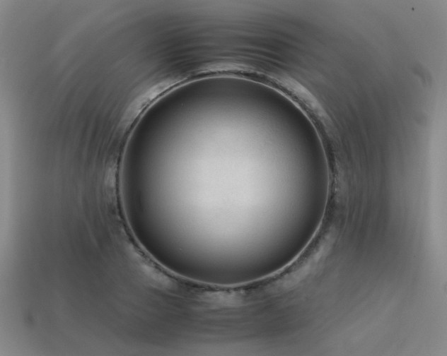 X0000113220937200909101147