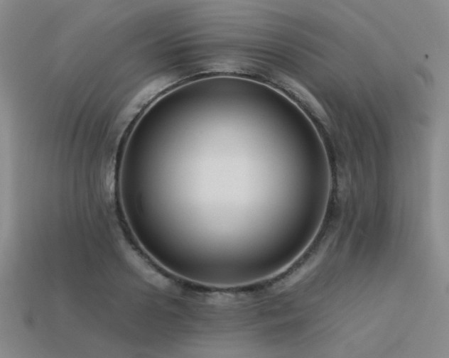 X0000113220938200909101147