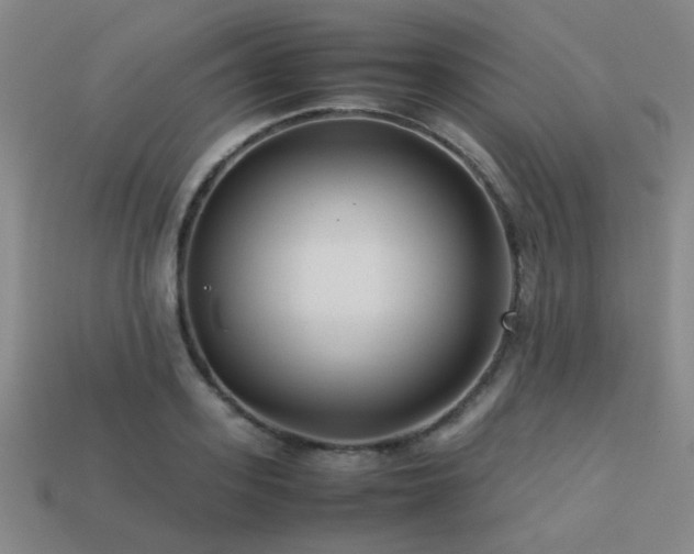 X0000113220939200909101147