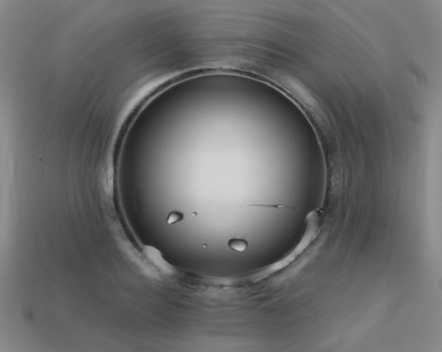 X0000113220940200909101147