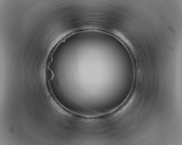 X0000113220941200909101147