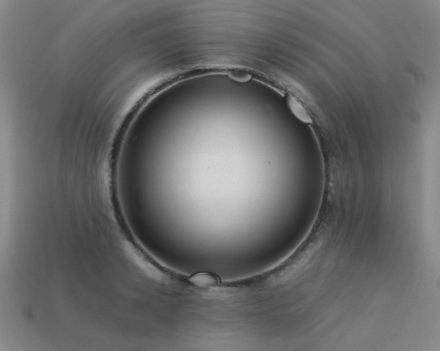 X0000113220942200909101147
