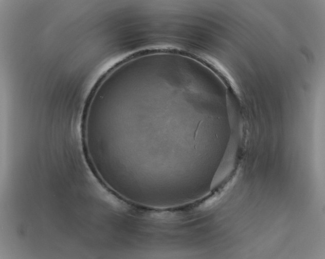 X0000113220943200909101147