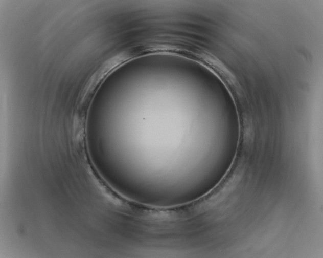 X0000113220945200909101147