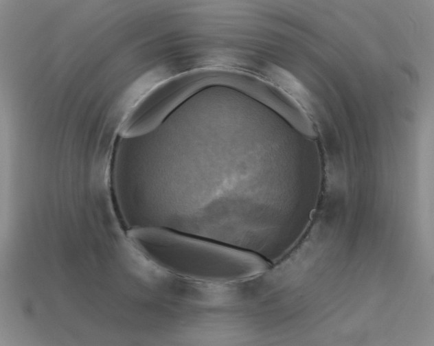 X0000113220946200909101147