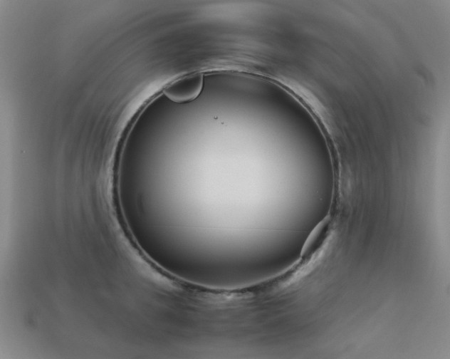 X0000113220949200909101147