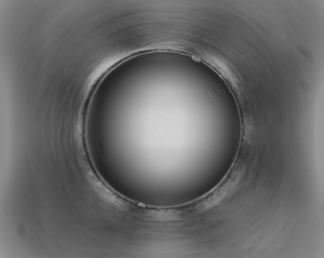 X0000113220952200909101147