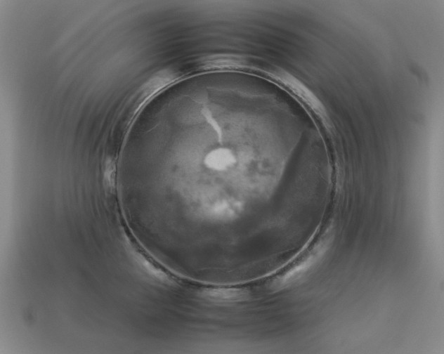 X0000113220953200909101147