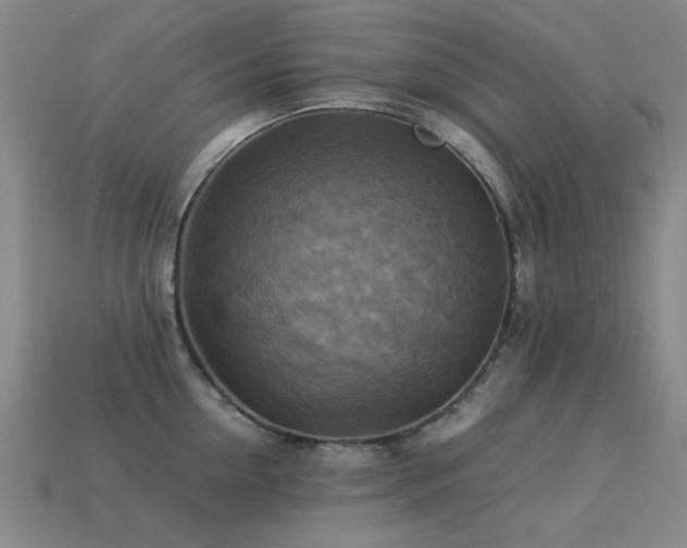 X0000113220954200909101147