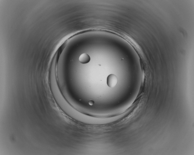 X0000113220956200909101147