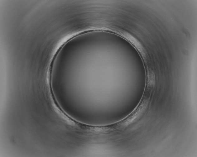 X0000113220958200909101147