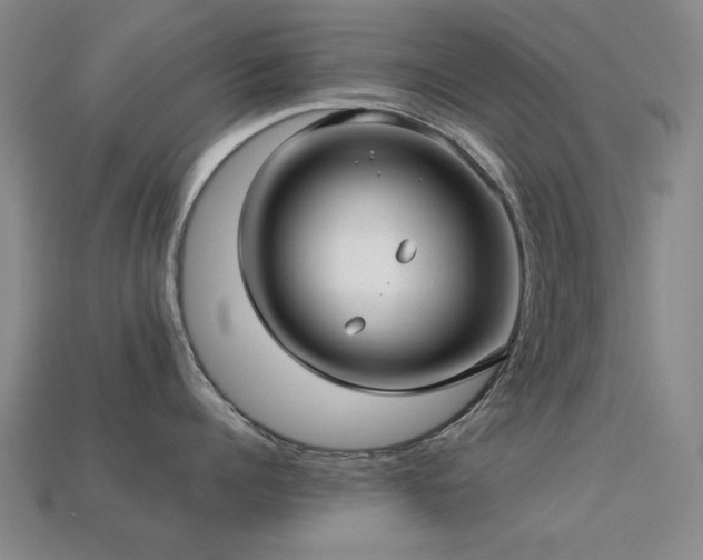 X0000113220960200909101147
