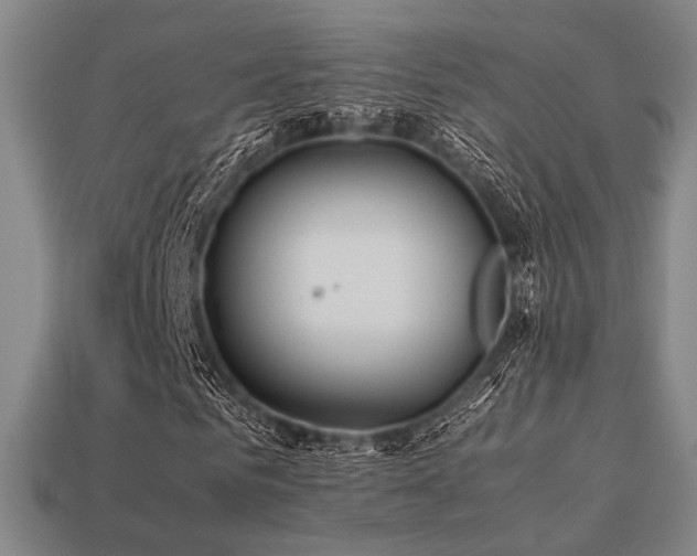 X0000113220961200909101147