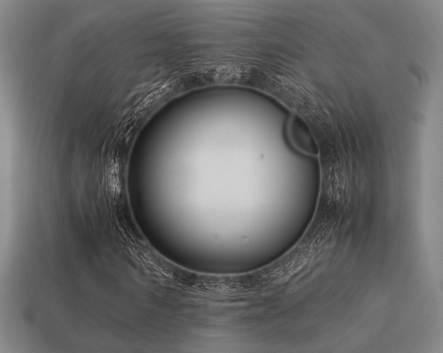 X0000113220962200909101147