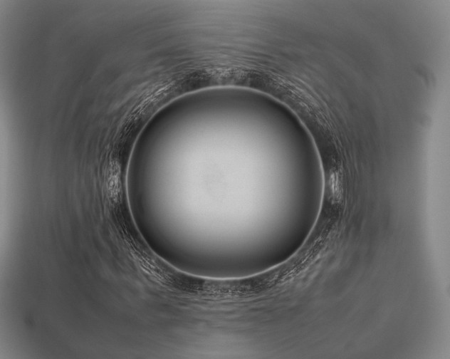 X0000113220963200909101147