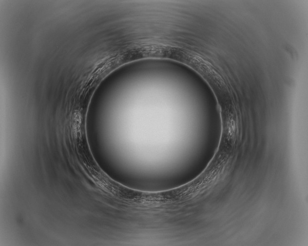 X0000113220964200909101147