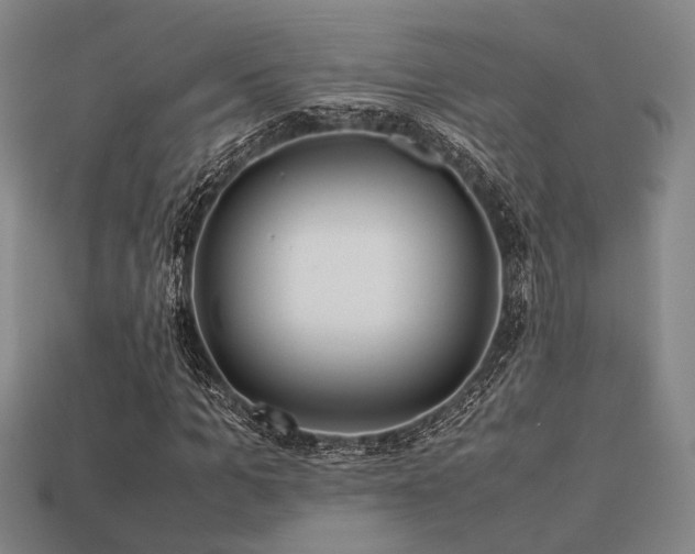 X0000113220965200909101147