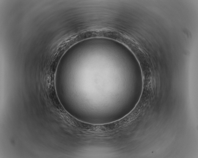 X0000113220966200909101147