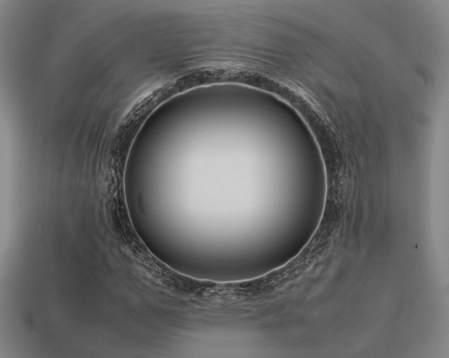 X0000113220967200909101147