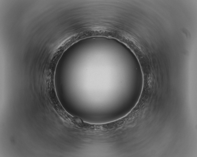 X0000113220968200909101147