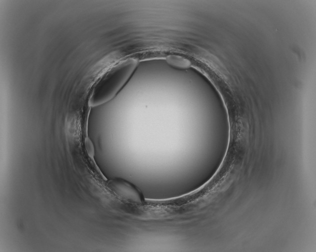 X0000113220969200909101147