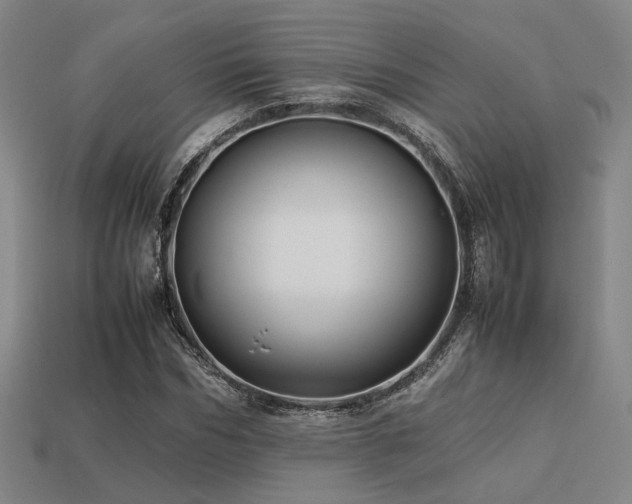 X0000113220970200909101147