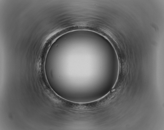 X0000113220971200909101147