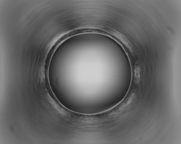 X0000113220972200909101147