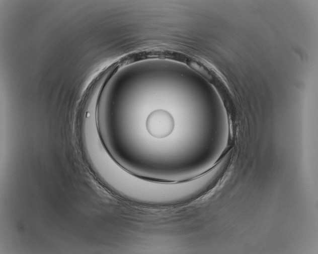 X0000113220973200909101147