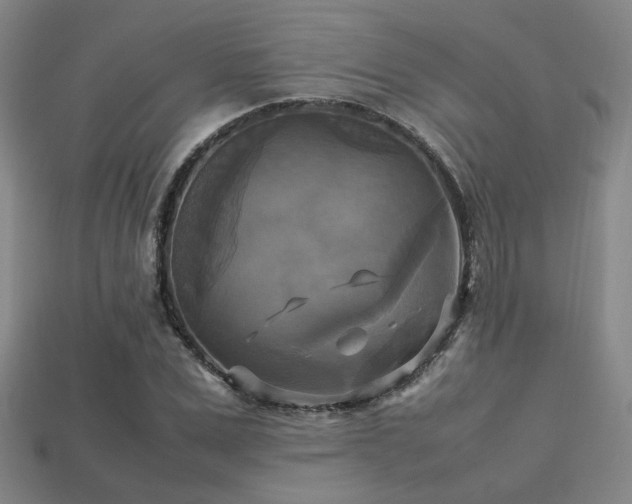 X0000113220975200909101147