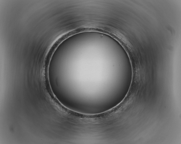 X0000113220976200909101147