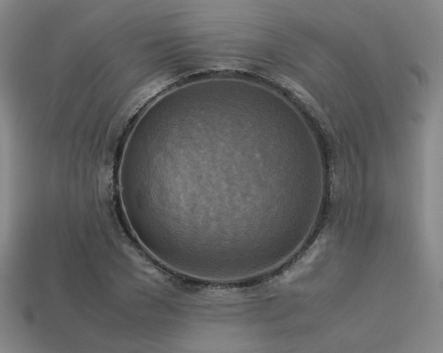 X0000113220977200909101147