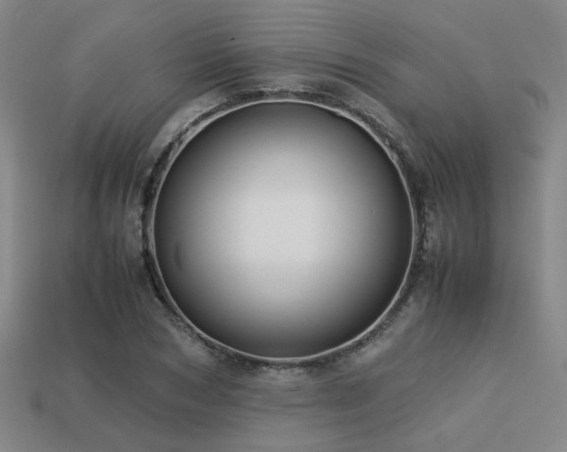 X0000113220978200909101147