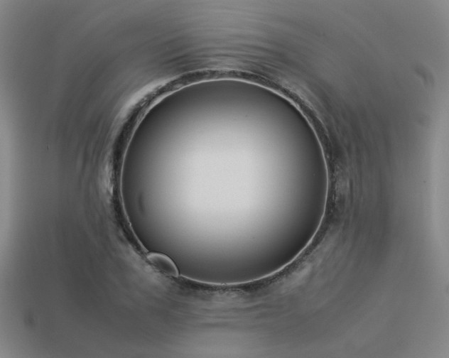 X0000113220979200909101147
