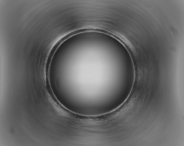 X0000113220980200909101147