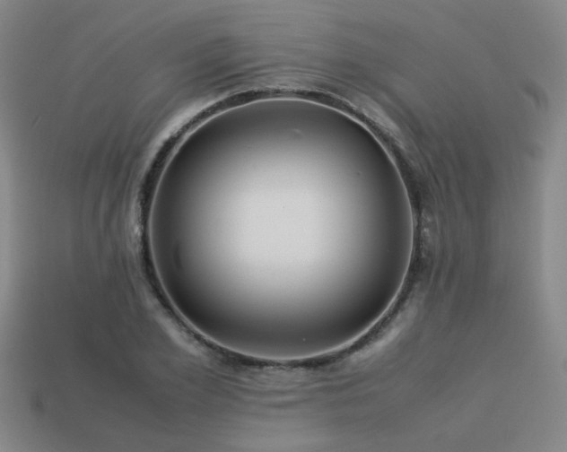 X0000113220981200909101146
