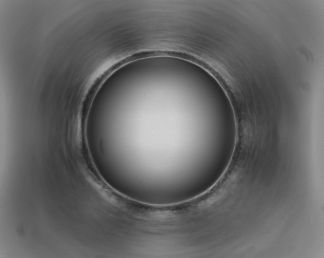 X0000113220982200909101146