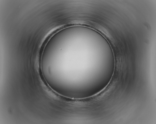 X0000113220984200909101146