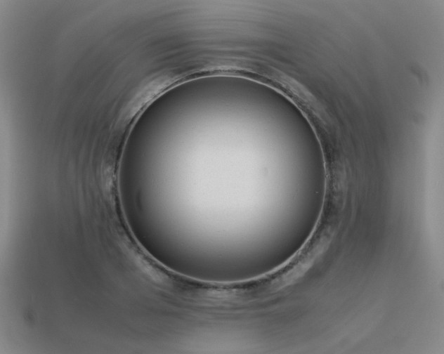 X0000113220985200909101146