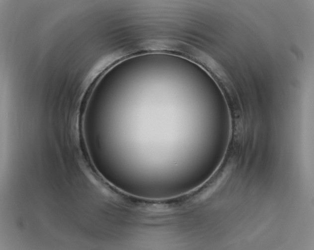 X0000113220986200909101146