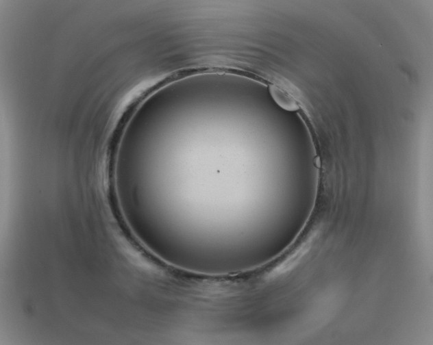 X0000113220987200909101146
