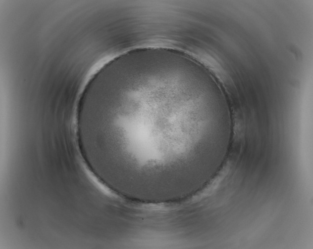 X0000113220990200909101146