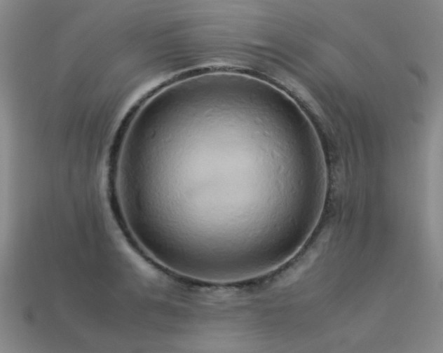 X0000113220991200909101146