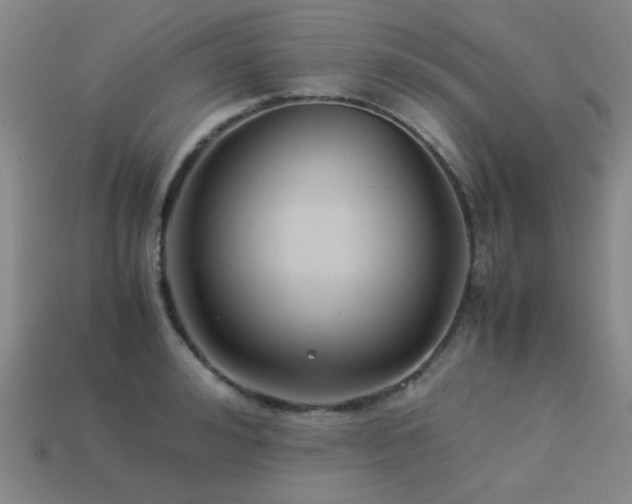 X0000113220992200909101146