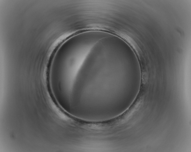 X0000113220995200909101146