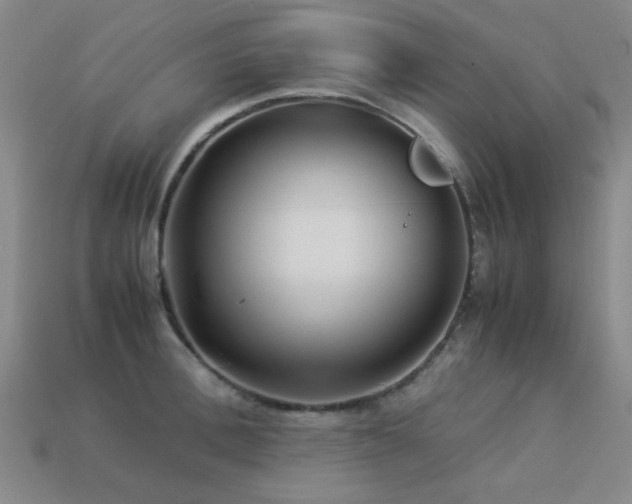 X0000113220996200909101146
