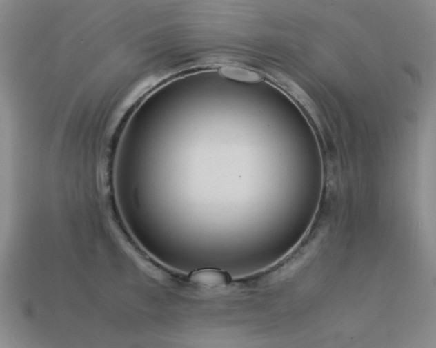 X0000113220997200909101146