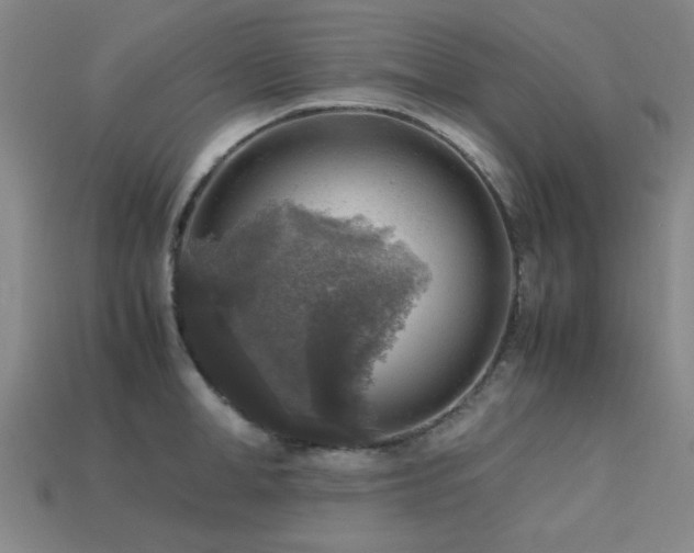 X0000113220998200909101146